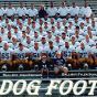 2001 lettermen set to join Silver B’s